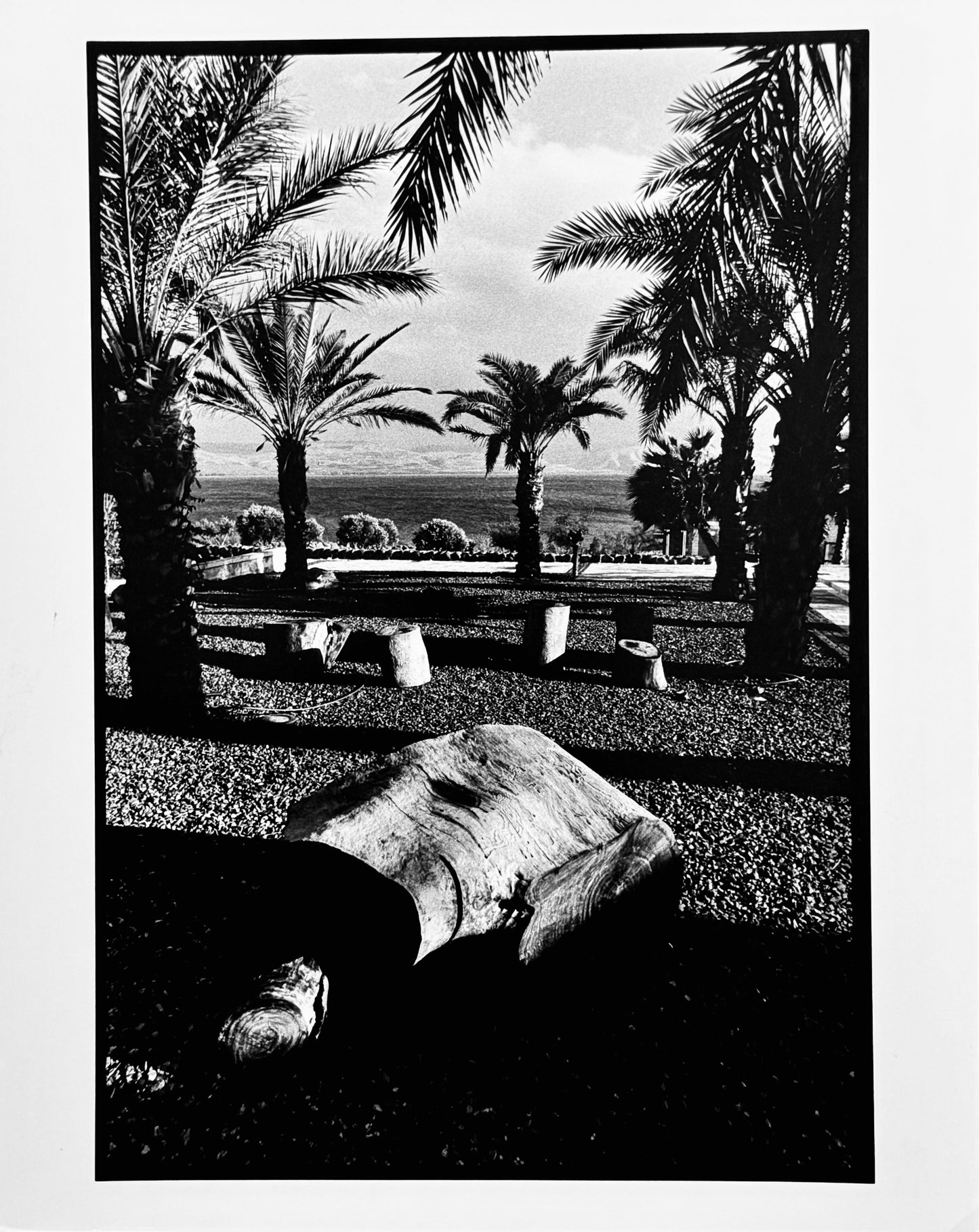 Lac de Tibériade - Israel - 2003 Œuvre originale de Michel Pinel