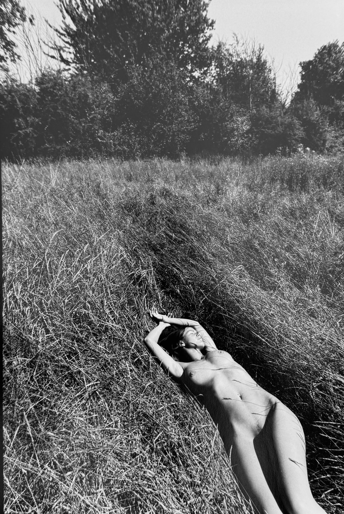La sieste Œuvre originale de Michel Pinel