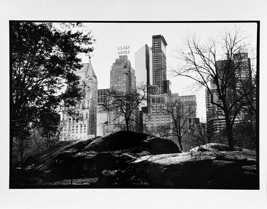 New York - Central Park - 2007 Œuvre originale de Michel Pinel