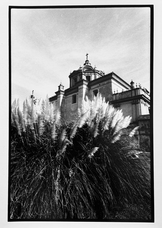 Museum of Modern Art - Sevilla - 2000