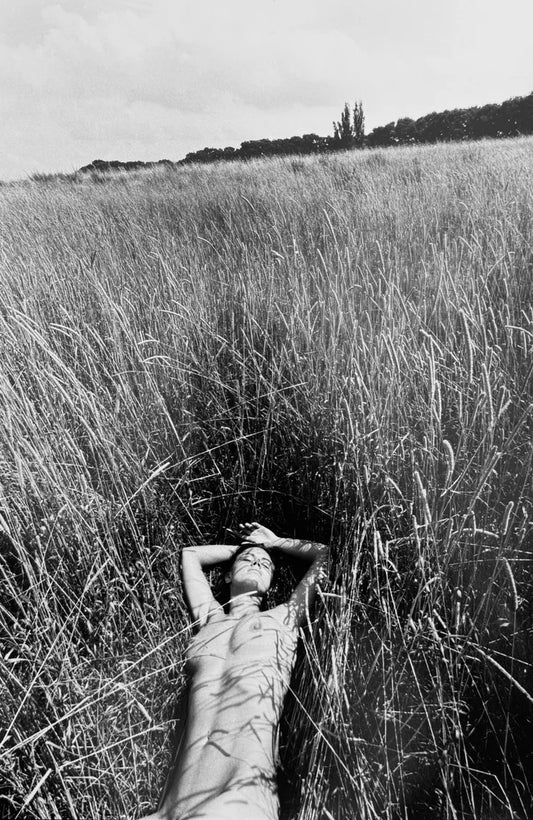 La sieste - 2003 Œuvre originale de Michel Pinel