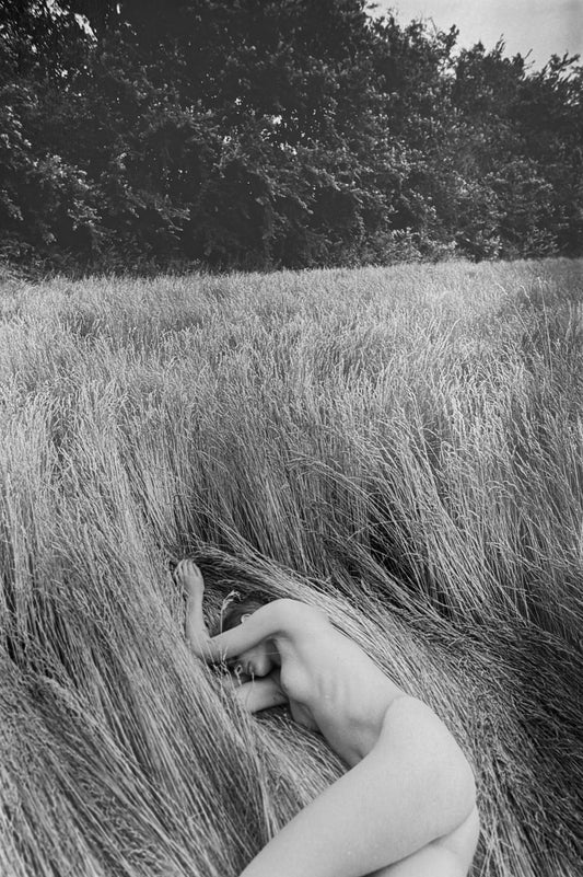 La sieste dans les hautes herbes Œuvre originale de Michel Pinel